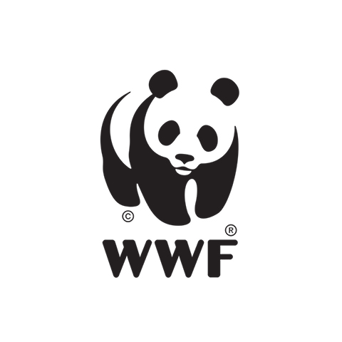 Order WWF online at Velivery