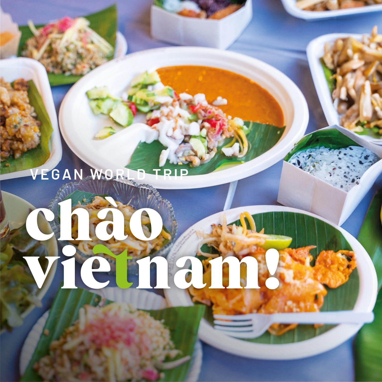 Vegan World Trip Vietnam