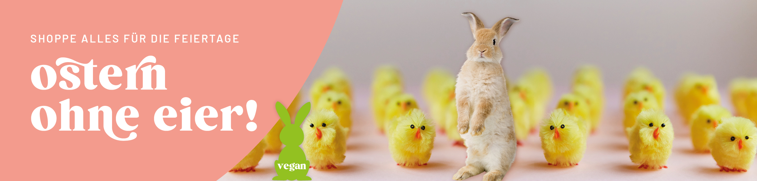 843251955-kw11_ve_ostern_keyvisual_kategoriebanner_desktop_de