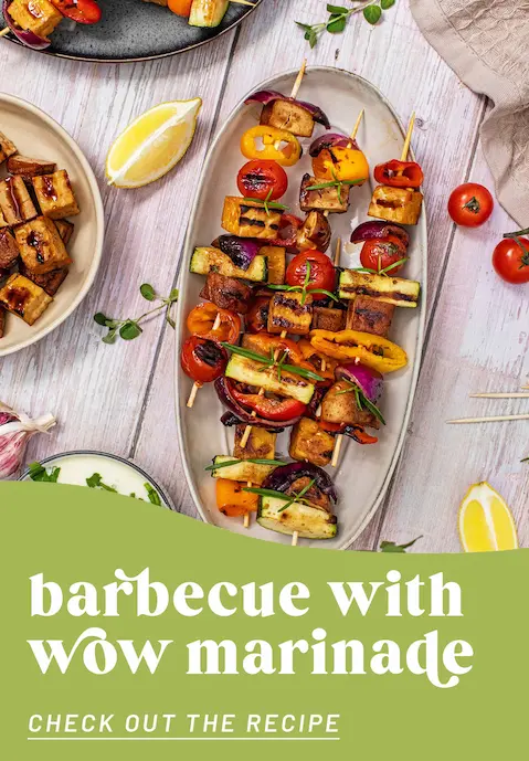 860981270-487252262-kw20_ve_rezepte_startseite_teaser3_grillspiesse_en