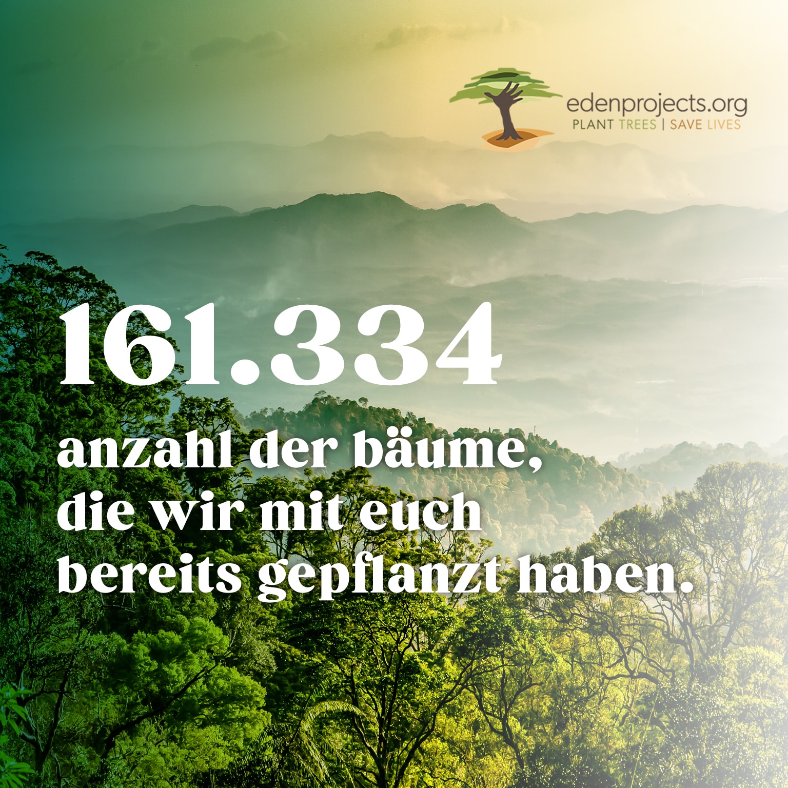 161.334 - anzahl der bäume, die wir mit euch bereits gepflanzt haben.