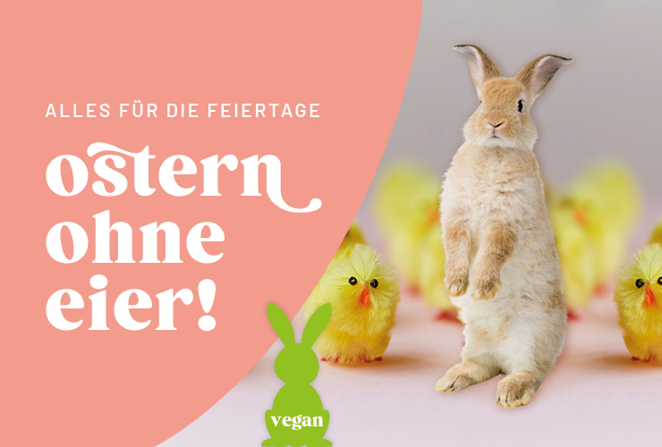 843251971-kw11_ve_ostern_keyvisual_kategoriebanner_mobil_de