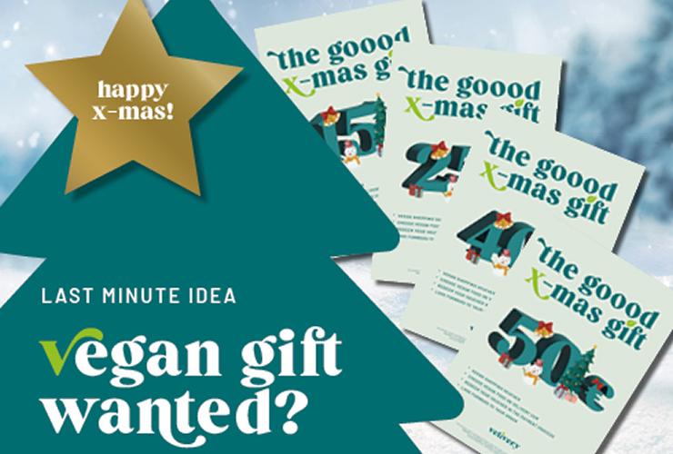 KW50_VE_Geschenkgutscheine_Kategoriebanner_EN_neu